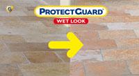 ProtectGuard Wet Look